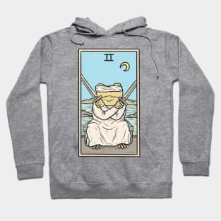 Two of Swords Toad Tarot Hoodie